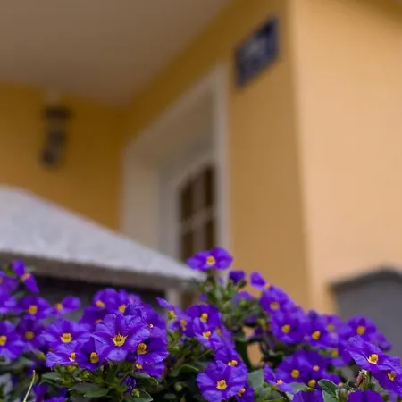 Apartment Claudia Salzburg